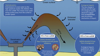 The University of New South Wales-led research sought to investigate the marine life impacts of desalination